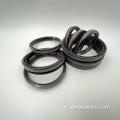 SEAL SPECIALE PER SEAL del pistone SPGW